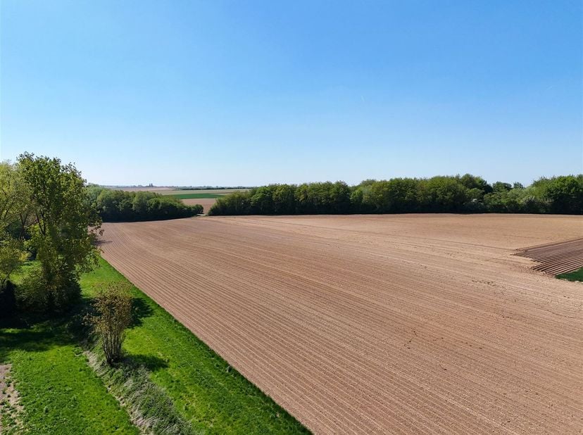 Prachtig akkerland met een oppervlakte van 2 Ha 87 a 10 ca vrij voor bewoning na de oogst van 2025.<br />
Gemakkelijk bereikbaar over de weg.<br />