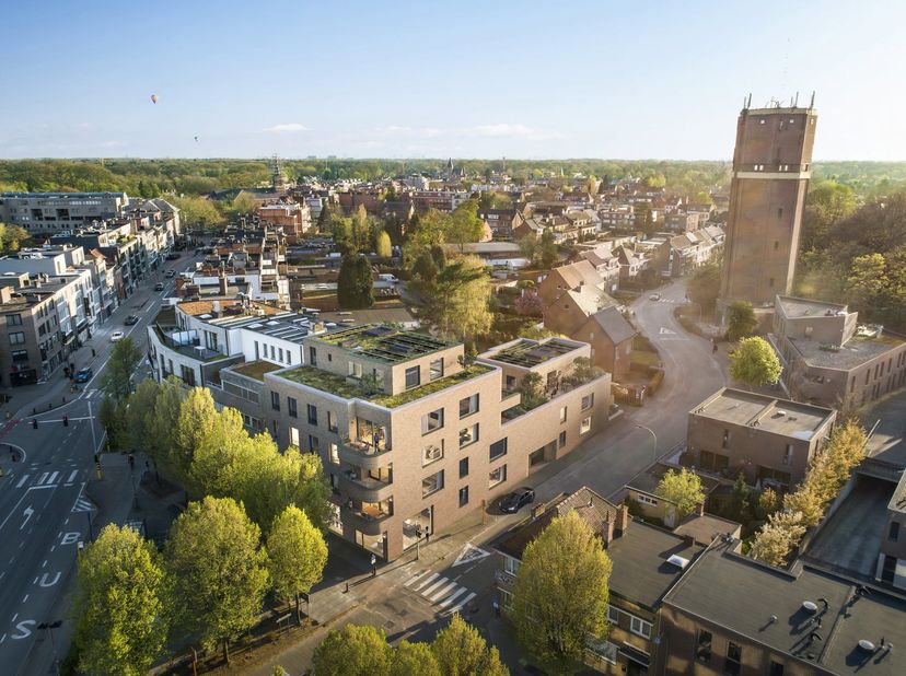 Modernistisch woonconcept rondom een lommerrijke patio met waterpartij die een waar Urban Jungle gevoel geeft door zijn groenblijvend karakter en exot