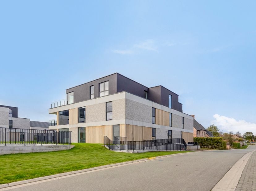 Project in Anjelierenlaan x,
                    9470 Denderleeuw