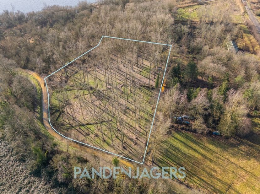 In de groene en landelijke omgeving van Battenbroek (Walem) bevindt zich dit mooie perceel weiland/bos met een totale oppervlakte van 10.110 m². Het p