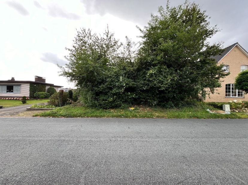 Terrain à vendre
                    à 3660 Opglabbeek