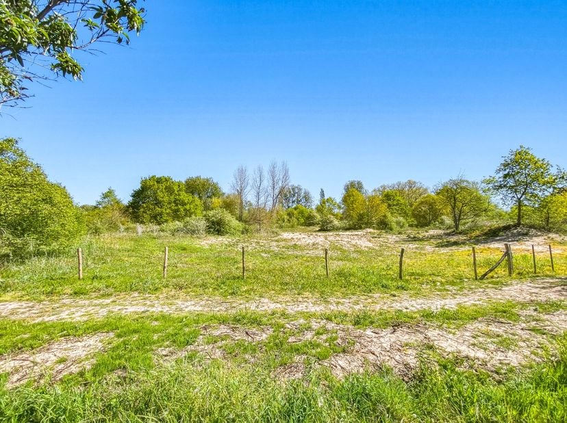 Maison à vendre
                    à 8670 Koksijde