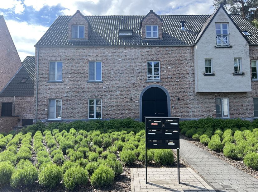 Appartement à louer
                    à 2288 Bouwel