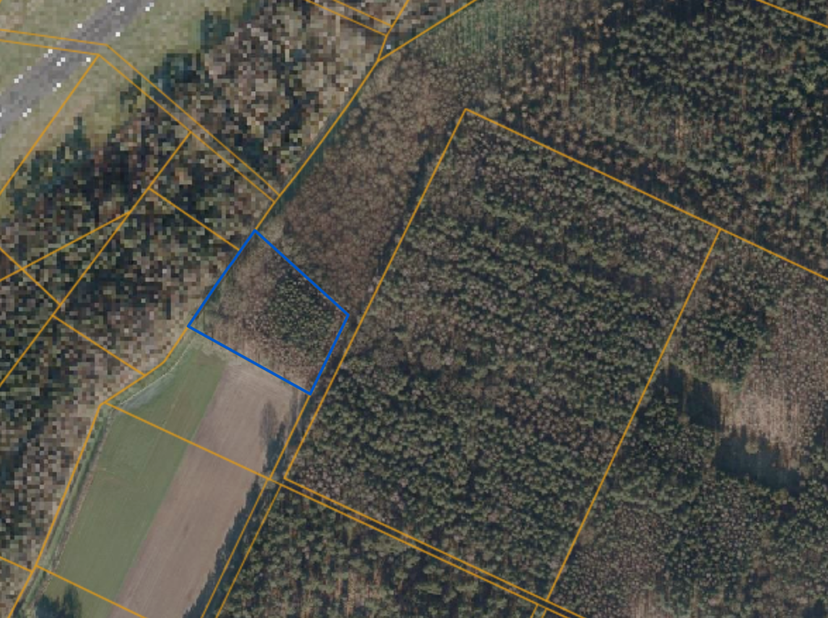 PERCEEL BOS VAN 68A10CA IN PEER (KLEINE-BROGEL)<br />
Dit achtergelegen perceel grond is gelegen achter of grenzend aan militair gebied van Vliegbasis