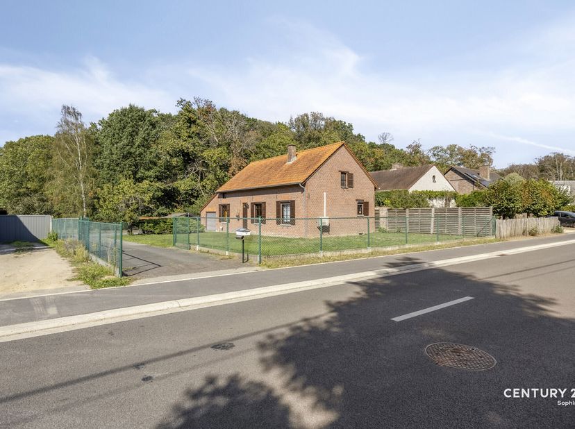 Huis te koop in Steenweg op Gelrode 71,
                    3110 Rotselaar