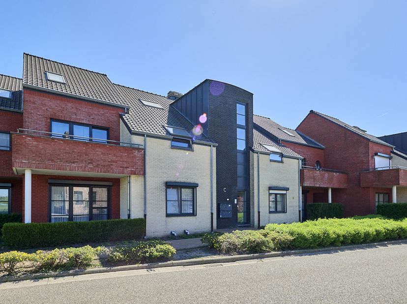 Appartement à vendre
                    à 3990 Wijchmaal