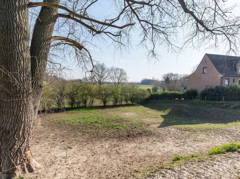 Terrain à vendre à Blakmeers 54A,
                    1790 Hekelgem