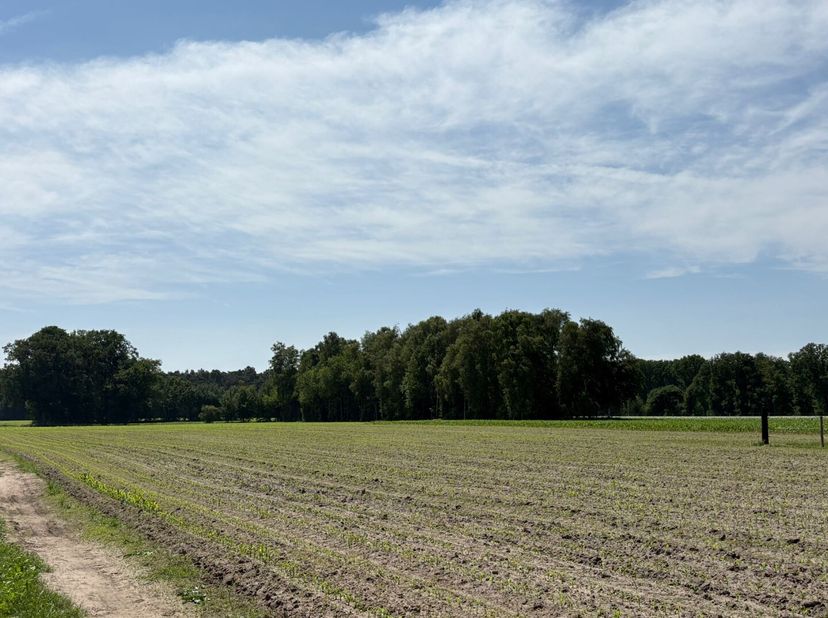 Tussen de landelijke omgeving van Mol en Geel bevindt zich dit mooie perceel weiland met een totale oppervlakte van 3.320 m².<br />
Het perceel is toe