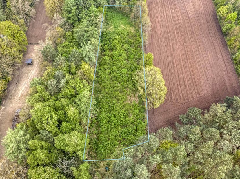 Terrain à vendre
                    à 2460 Lichtaart