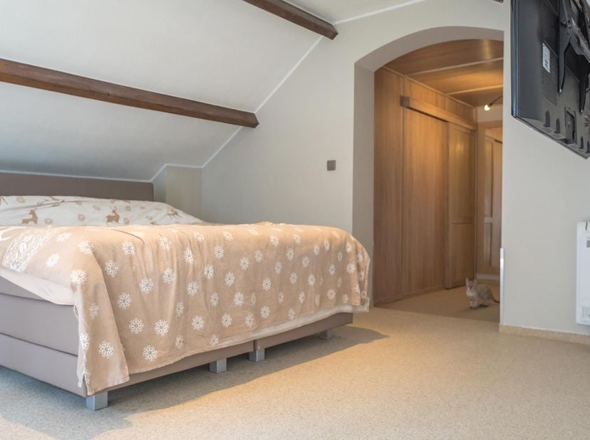 Mooie villa rustig en groen gelegen te Opglabbeek! Deze villa kan u terugvinden aan de Fazantenstraat 17 te Opglabbeek in een rustige woonomgeving. De