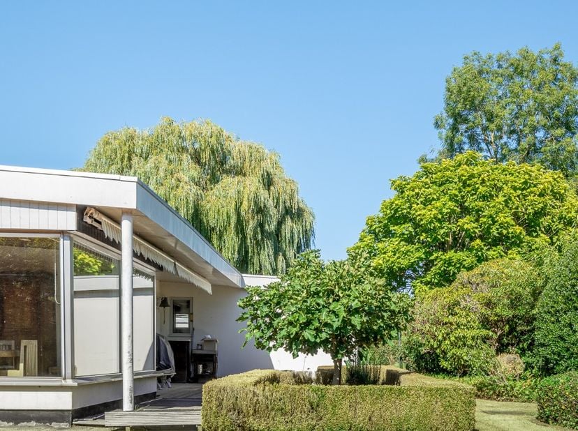 Op toplocatie te Waregem vinden we deze bungalow. Gelegen op een uitzonderlijk perceel van 1700m2, volledig omringd door groen. De woning gebouwd in 1