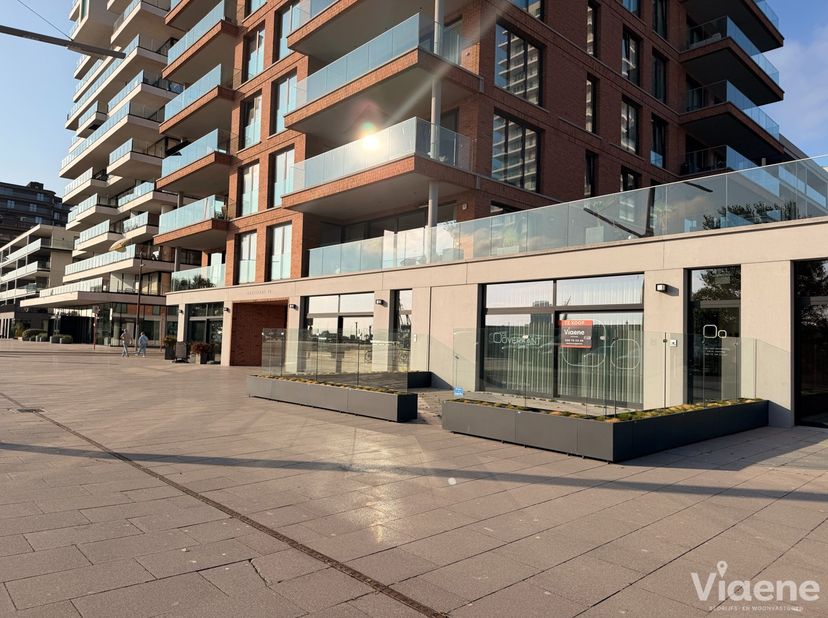 Bien professionnel à vendre à Hendrik Baelskaai 14,
                    8400 Oostende