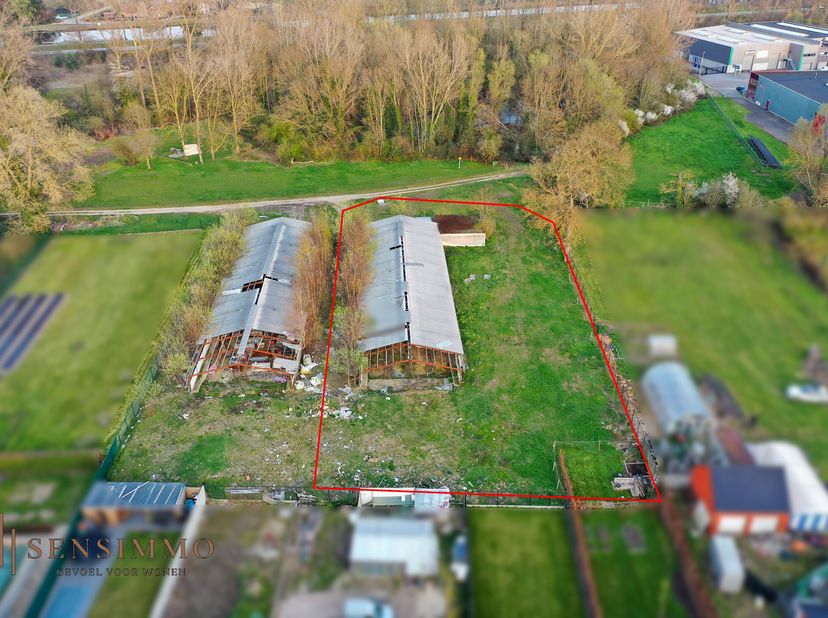 Bien professionnel à vendre
                    à 3630 Mechelen-aan-de-Maas