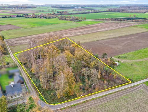                                         Bos te koop in Wachtebeke, € 23.000
