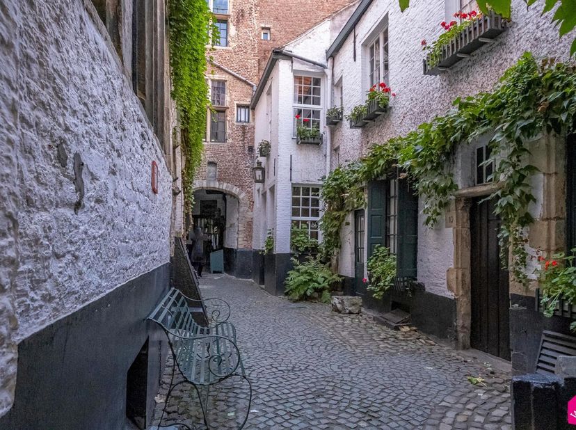 Charmant duplex appartement gelegen middenin de 16e eeuwse Vlaeykensgang, de meest unieke ligging in hartje Antwerpen in een oase van rust! <br />
<br