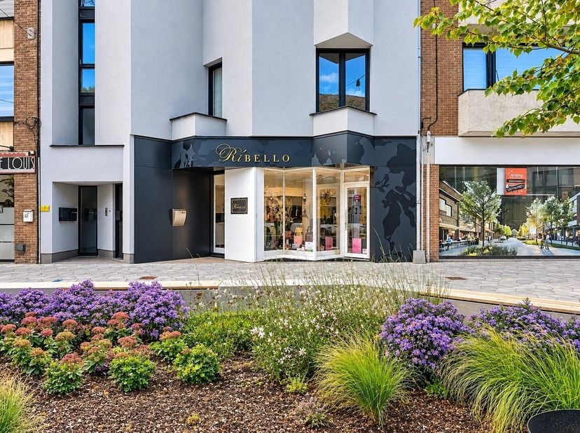 Bien professionnel à vendre à Vredelaan 30,
                    3530 Houthalen