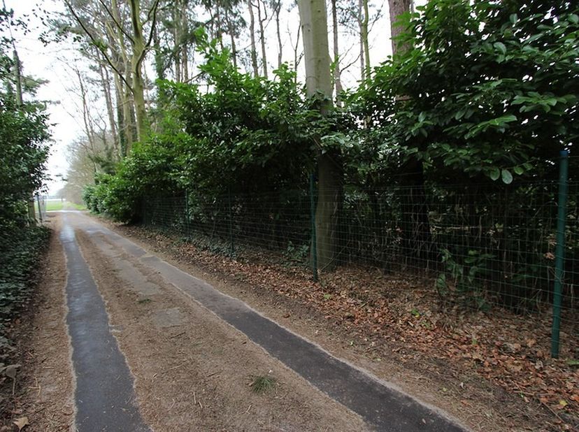 Zéér rustig gelegen perceel grond met een oppervlakte van 2040 m². Dit volledig te renoveren vakantieverblijf is gelegen in de Lange dreef 6 te Jabbek