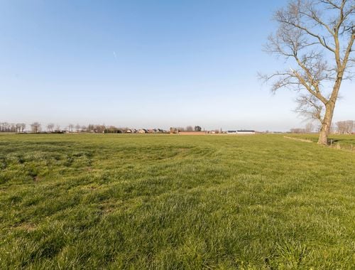                                         Landbouwgrond te koop in Diksmuide, € 95.000
