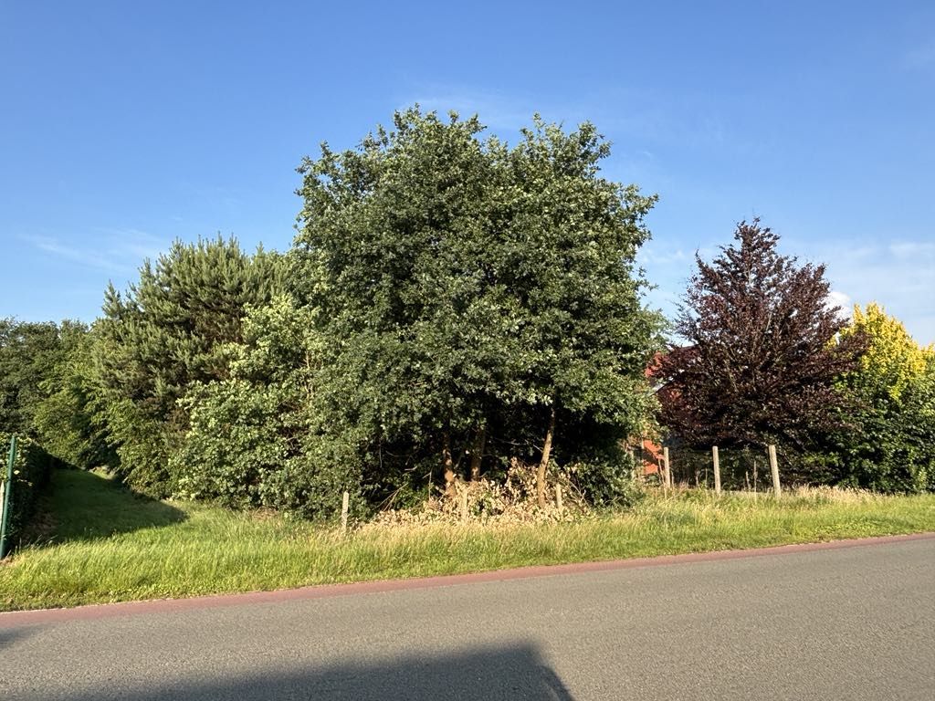 Bouwgrond te koop
