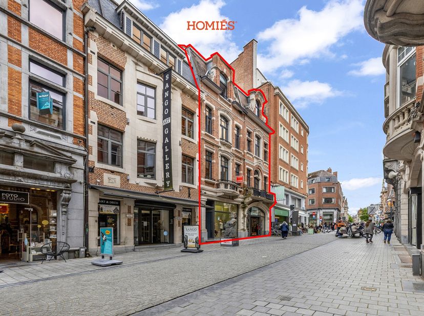 In het hart van Leuven, op een absolute toplocatie in de gegeerde Leopold Vanderkelenstraat, bevindt zich deze uitzonderlijke opbrengsteigendom bestaa