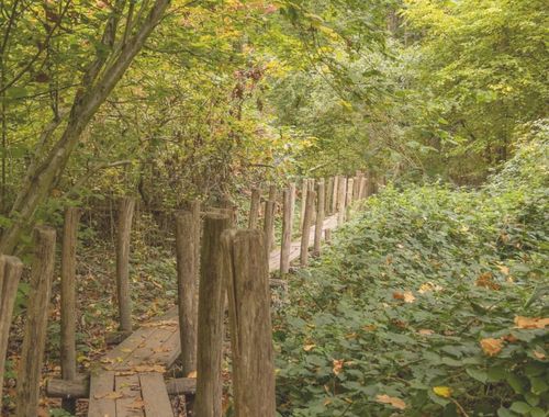                                         Villa te koop in Ronse, € 950.000
