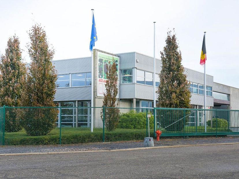 Bien professionnel à vendre
                    à 3290 Diest