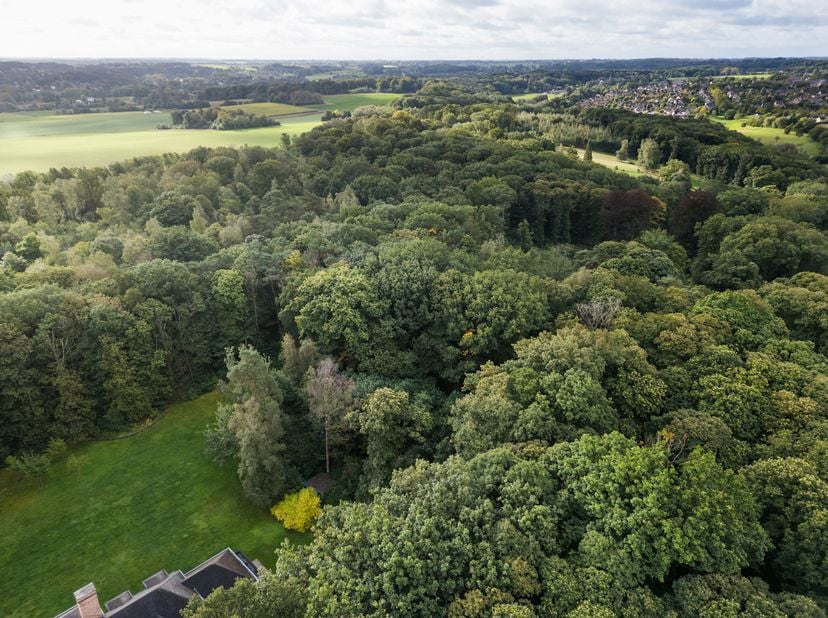 Grond te koop
                    in 1300 Wavre