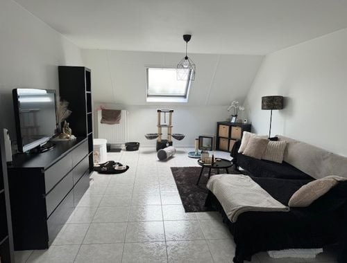                                        Appartement à louer à Mechelen-aan-de-Maas, € 600
