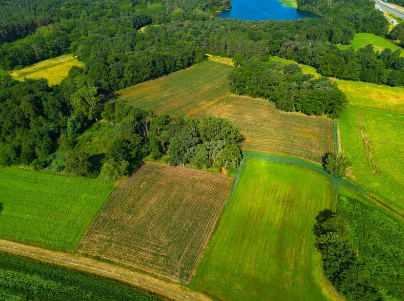 Goed gelegen grond te koop in Oud-Turnhout.<br />
<br />
Deze percelen zijn bereikbaar langs een weg en bestaan uit 9877m² bos en 29.368m² grasland.<b