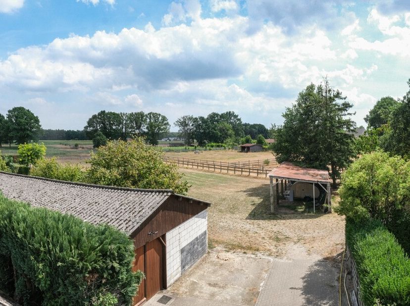[[ DIT PAND NEEMT DEEL AAN DE ERA OPEN HUIZEN DAG OP 19/9 VAN 14:30 TOT 15:30 ]] Ruime open bebouwing in Pelt met weiland en werkhangar op een perceel