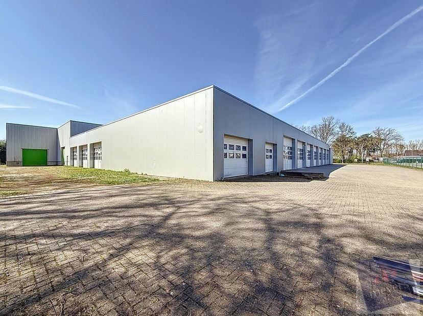 Bien professionnel à vendre à Bosstraat 20,
                    3950 Bocholt