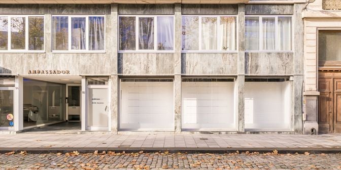 Bien professionnel à vendre à Frankrijklei 92, 2000 Antwerpen