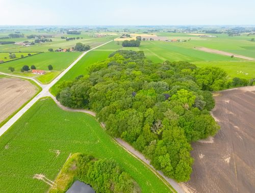                                         Bos te koop in Diksmuide, € 189.000
