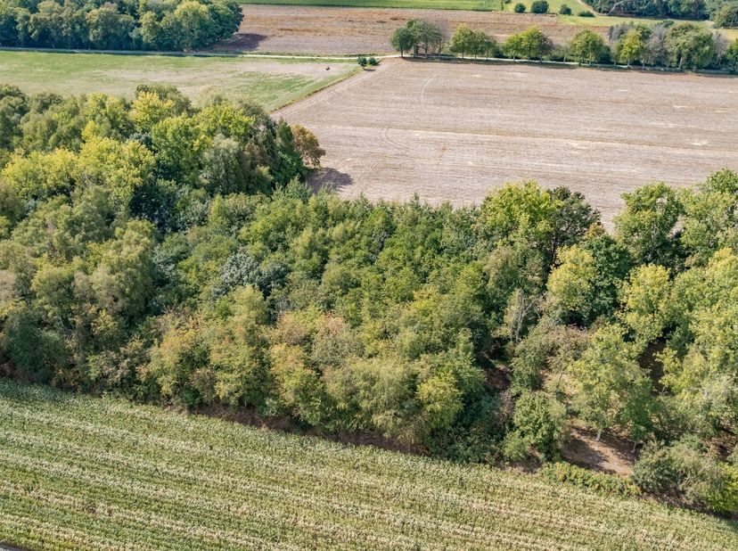 Terrain à vendre
                    à 9185 Wachtebeke