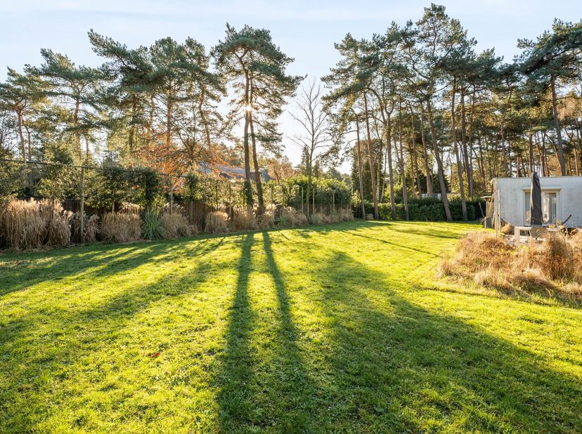 Dans le quartier résidentiel de villas de Grote Heide à Pelt se trouve cette charmante maison de plain-pied sur un terrain de 2 471 m². Grâce à sa lum
