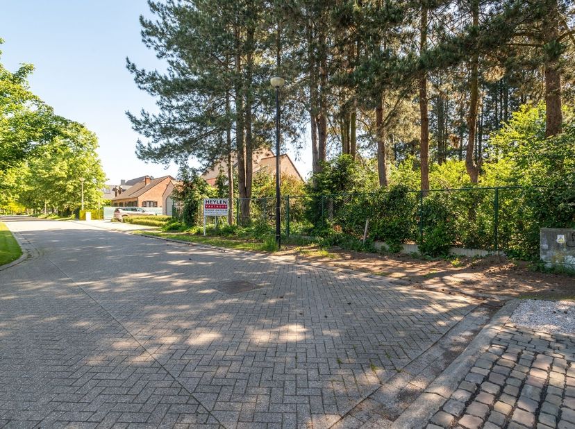 Villagrond gelegen aan de dreef in Noorderwijk<br />
<br />
Deze bouwgrond van 1.217m2 met een straatbreedte van 24,5m en diepte van 49,5m is geschi