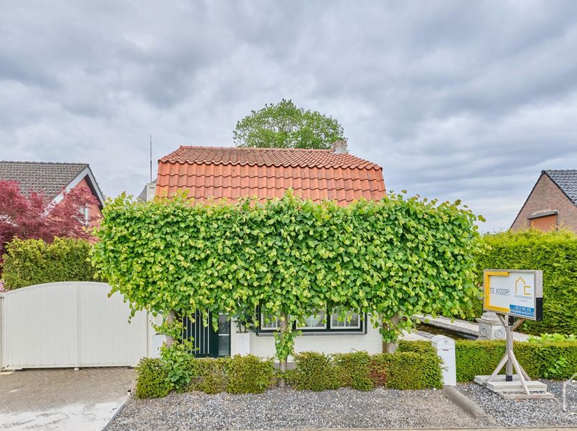 Deze karaktervolle woning uit de jaren '30 bevindt zich in een rustige straat, vlakbij het centrum van Hamont en op een boogscheut van de Nederlandse