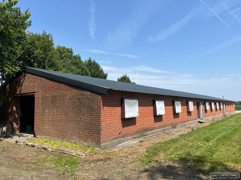 loods te huur, wind- en waterdicht<br />
oppervlakte:&amp;nbsp; 305 m²&amp;nbsp;<br />
toegangspoort achteraan<br />
enkel voor opslag