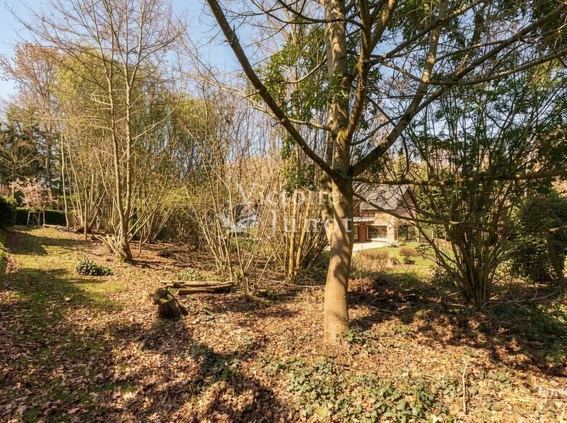 In een charmant afgesloten terrein, ideaal gelegen, presenteert Victoire-Junot deze zuidgerichte bouwgrond van ongeveer 7,15 are. Mogelijkheid om er e