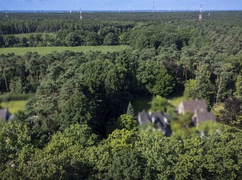 Terrain à vendre
                    à 3690 Zutendaal