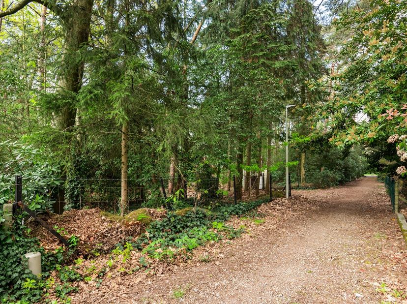 Exclusieve villagrond te koop in de Paddekotseheide 14, Lot 1 te Nijlen van 1.546 m²<br />
<br />
Op een rustige en groene locatie bevindt zich deze
