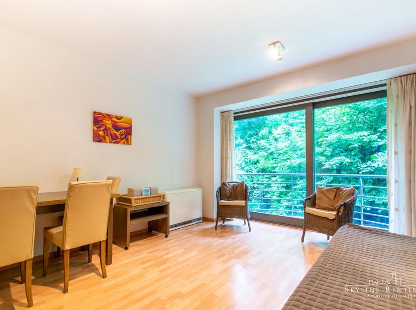 VD A 3.1 - CONTRAT D'UN AN MIN. - DISPONIBLE À PARTIR DU 01/07/2026 - Dans un immeuble de 2004, près d'Herman Debrouck, Studio de ±32m² situé au 1er é
