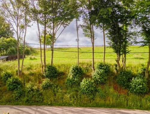                                         Bouwgrond te koop in Tontelange, € 195.000
