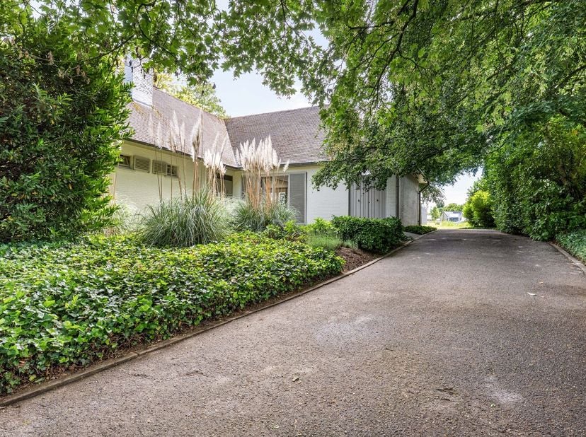 Ruime villa met 5 slaapkamers op een perceel van bijna 12 are in het rustige Halle-Booienhoven, deelgemeente van Zoutleeuw. Met meer dan 220 m² bewoon