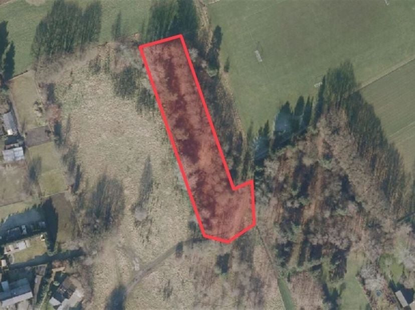 Ruim perceel grond van 4.342 m² in woonuitbreidingsgebied <br />
Dit ruime perceel van 4.342 m² is gelegen in Lommel en bevindt zich in woonuitbreidin