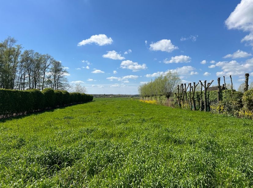 Terrain à vendre
                    à 9992 Middelburg