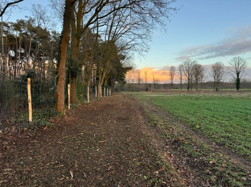 Te koop perceel bos gelegen Steken/Klein-Sinaai<br />
<br />
Perceel aangelegd bos en omheind<br />
<br />
Gelegen aan de straat 40m<br />
<br />
Oppe