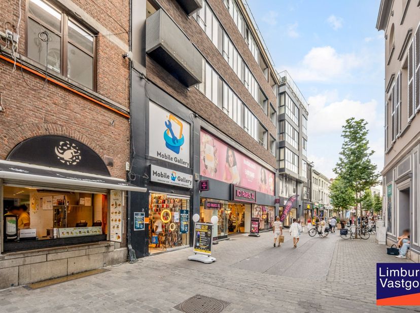 Bien professionnel à vendre
                    à 3500 Hasselt