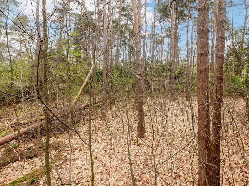 Vakantieverblijf op recreatiegrond van circa 1.645m².<br />
De ideale plek voor wie houdt van natuur, stilte en een ontspannen buitenleven.<br />
Gere