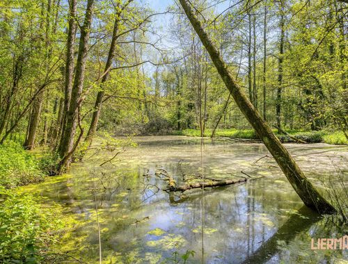                                         Terrain à vendre à Denderhoutem, € 99.000

